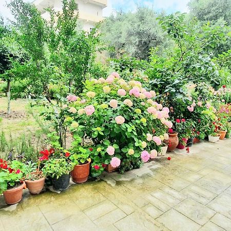 Vlorë Apartament Me Qera Dublex Lungomare מראה חיצוני תמונה