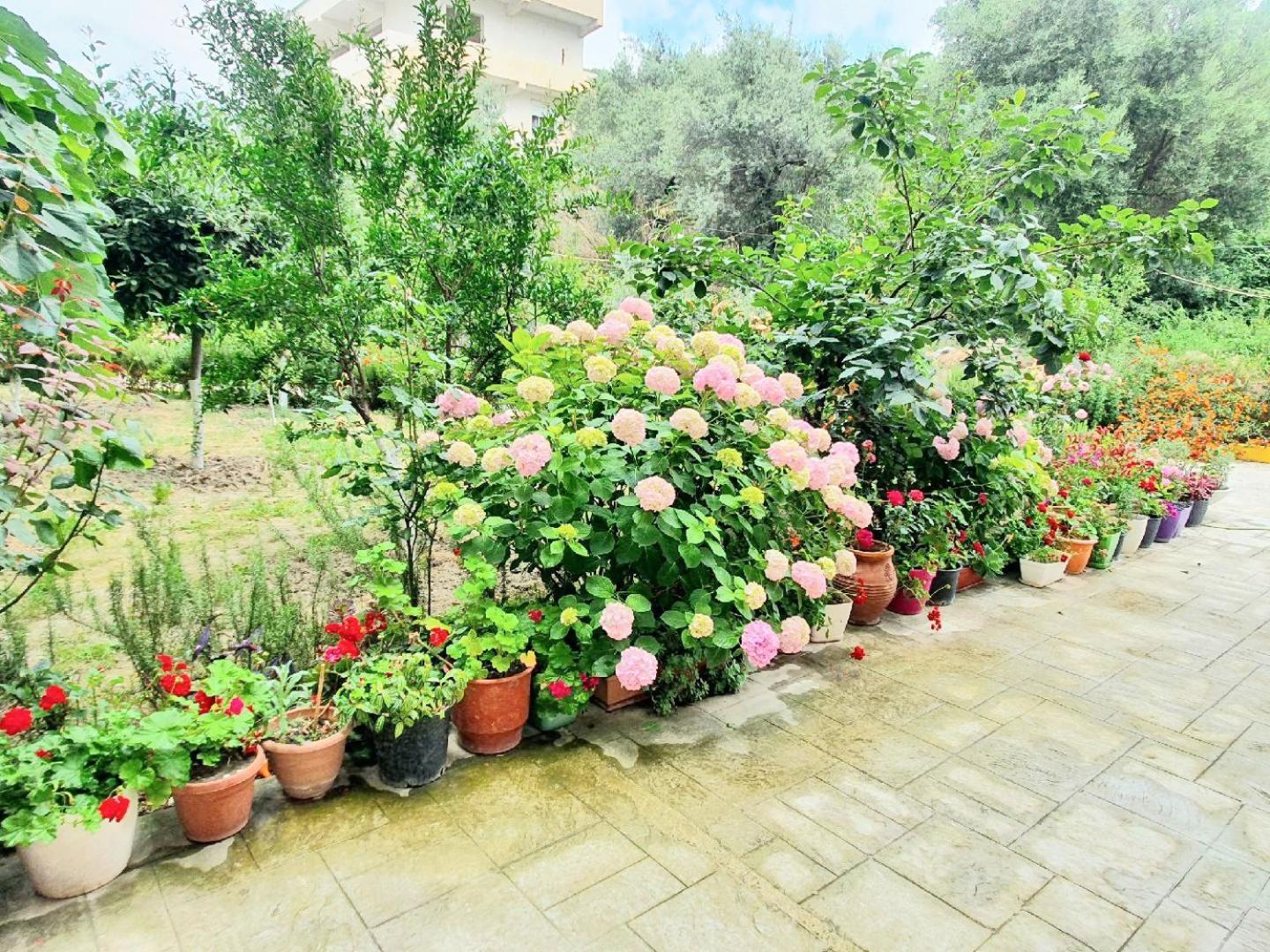 Vlorë Apartament Me Qera Dublex Lungomare מראה חיצוני תמונה
